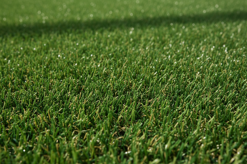 Artificial Grass