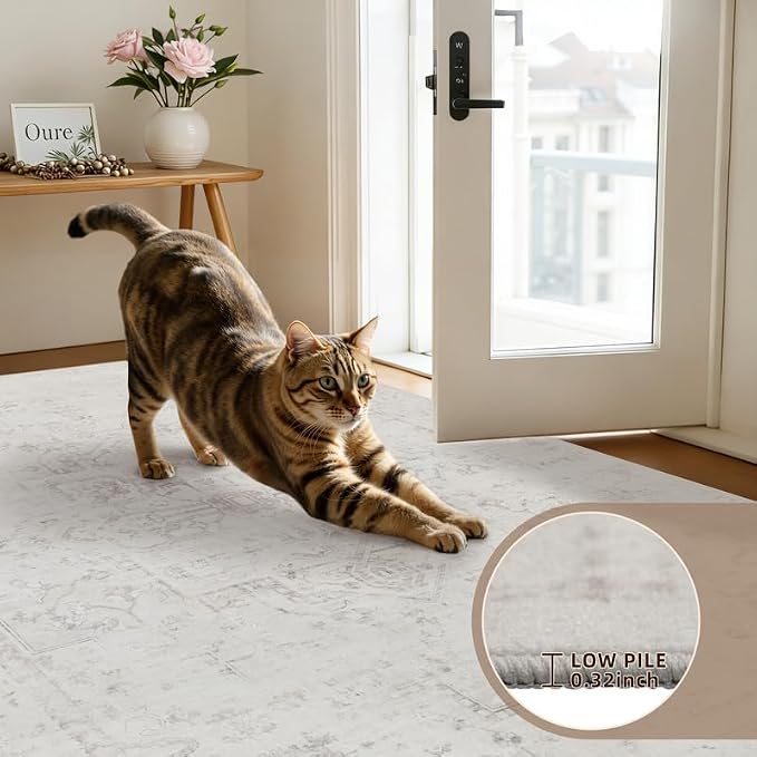 10x12 Area Rug for Living Room: Vintage Boho Neutral Washable Rug Indoor Soft - Image 9