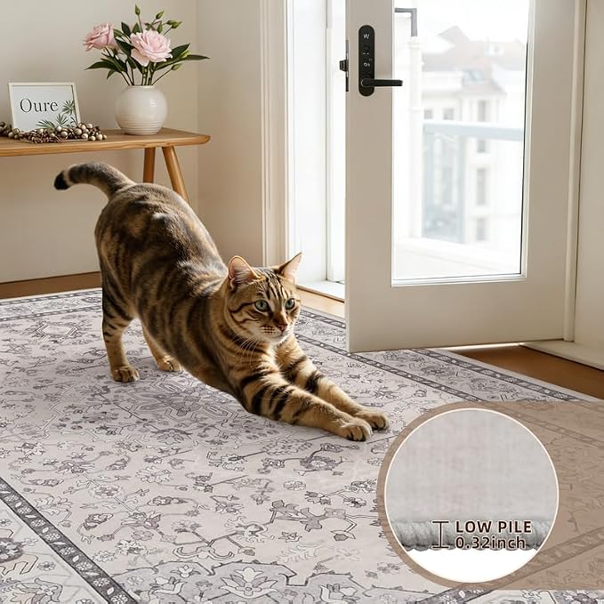 5x7 Area Rugs for Living Room: Vintage Boho Neutral Washable Rug Indoor Soft - Image 7