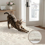 3x5 Area Rugs for Living Room: Vintage Boho Neutral Washable Rug Indoor Soft - Image 7