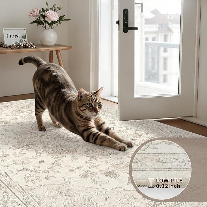 Round Area Rug for Living Room: 6ft Vintage Boho Neutral Washable Circle Rug - Image 6