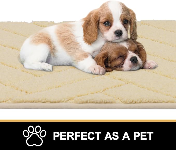 hicorfe Indoor Doormat, Front Back Door Mat Rubber Backing Non Slip Door Mats - Image 5
