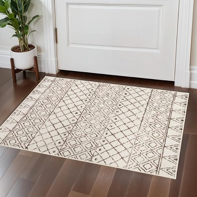 Small Rug 2x3 Washable - Image 3