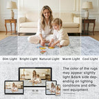 Machine Washable Area Rugs 2x3: Vintage Boho Neutral Washable Rug Indoor Soft - Image 5