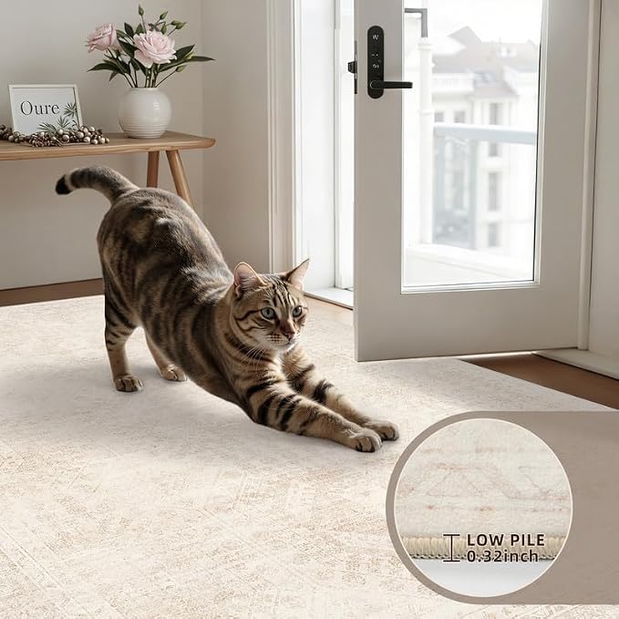 Round Area Rug for Living Room: 6ft Vintage Boho Neutral Washable Circle Rug - Image 6