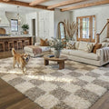 PureCozy Checkered Rug 5x7 for Living Room, Modern Grey Shag Rug Shag Rug Super by PureCozy