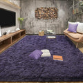 Tepook 5x8 Area Rugs for Living Room, Soft Fluffy Shag Gray Purple Rug for by Tepook