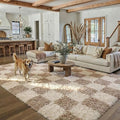 PureCozy Beige 5x7 Area Rugs for Living Room Soft Shag Checkered Large Rug by PureCozy