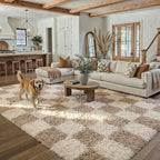 PureCozy Beige 5x7 Area Rugs for Living Room Soft Shag Checkered Large Rug by PureCozy