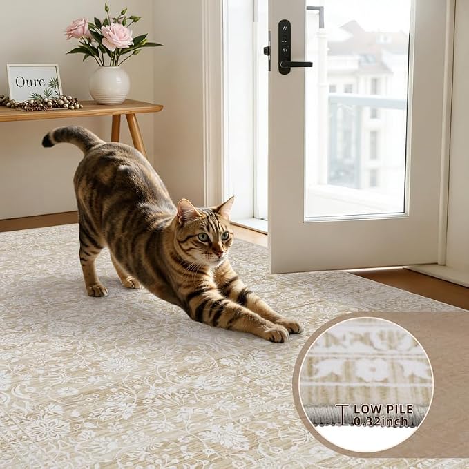 6x9 Area Rugs for Living Room: Vintage Boho Neutral Washable Rug Indoor Soft - Image 7