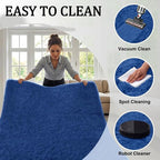 Area Rug for Living Room Bedroom: 4x6 Soft Fluffy Shag Rugs Upgrade Non-Slip - Image 7