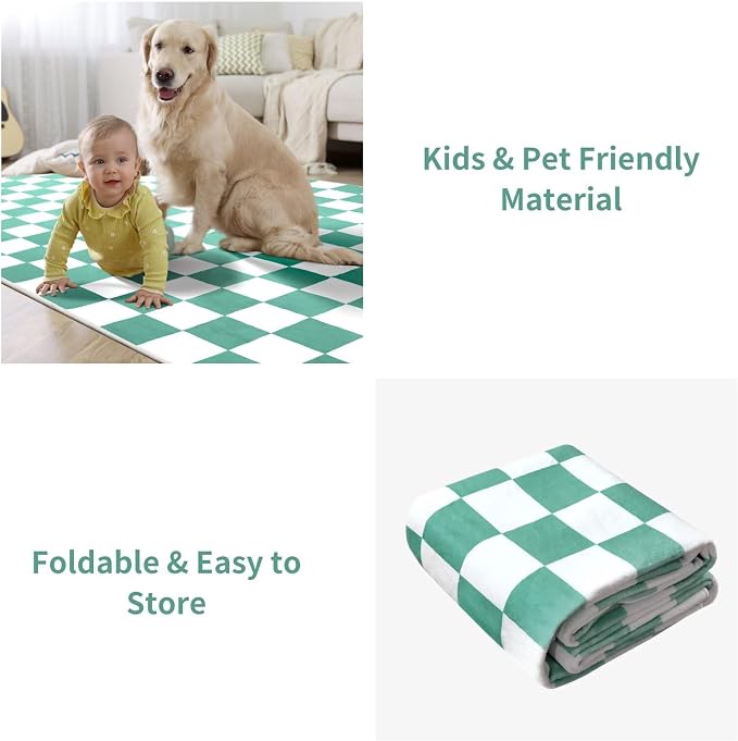 Terrug Green and White Checkered Rug - Image 8