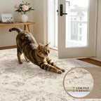 3x5 Area Rugs for Living Room: Vintage Boho Neutral Washable Rug Indoor Soft - Image 7