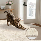 Machine Washable Area Rugs 2x3: Vintage Boho Neutral Washable Rug Indoor Soft - Image 6