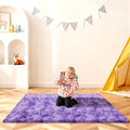 4x6 Rugs for Bedroom, Fluffy Area Rugs for Living Room, Small Fuzzy Shag Soft by Unknown