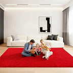 6x9 Area Rugs for Living Room, Large Fluffy Red Rugs for Bedroom, Fuzzy Shag by Unknown