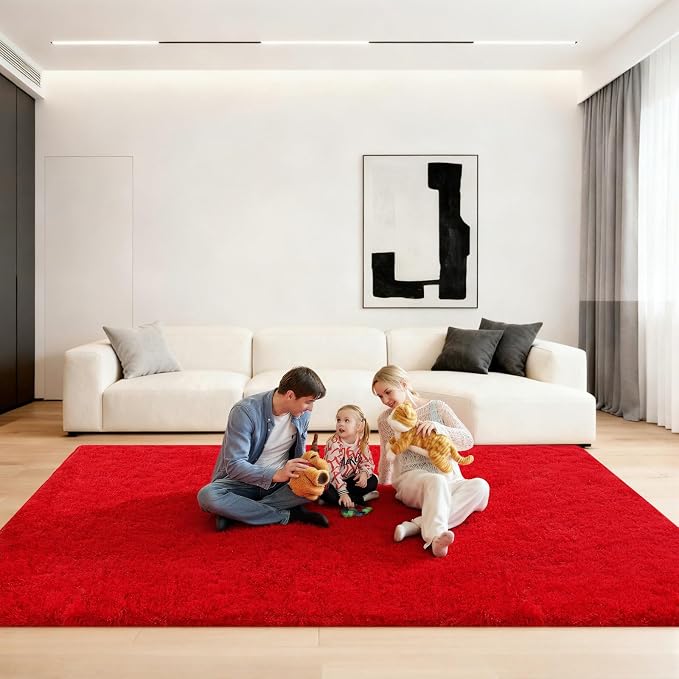 6x9 Area Rugs for Living Room, Large Fluffy Red Rugs for Bedroom, Fuzzy Shag by Unknown