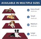 Smiry Dog Door Mat for Muddy Paws 24x16, Absorbent Dirt Trapper, Non-Slip - Image 3