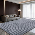 Gray Rabbit Plush Rug 6'x9', Fluffy Shaggy Area Rug by CHOVY