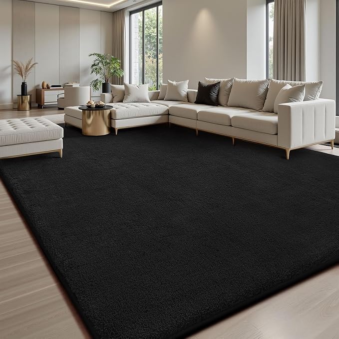 Sour Lemon 4x6 Area Rugs for Living Room, Soft Area Rug Fluffy Rugs for by SourLemon