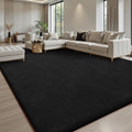Sour Lemon 4x6 Area Rugs for Living Room, Soft Area Rug Fluffy Rugs for by SourLemon