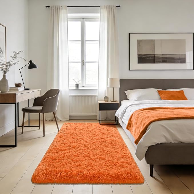 Andecor Soft Fluffy Bedroom Rugs, 3 x 5 Feet Indoor Shaggy Plush Area Rug by Andecor