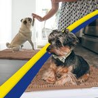 Muddy Mat® | Super Water Absorbent Door Mat Indoor, Microfiber Quick Dry - Image 5