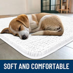 Smiry Dog Door Mat for Muddy Paws 59x24, Absorbent Dirt Trapper, Non-Slip - Image 2
