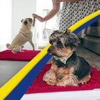 Muddy Mat® | Super Water Absorbent Door Mat Indoor, Microfiber Quick Dry - Image 4