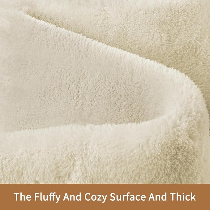 Sour Lemon 5x7 Area Rugs for Living Room, Soft Large Area Rug Fluffy Rugs for - Image 2