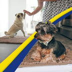 Muddy Mat® | Super Water Absorbent Door Mat Indoor, Microfiber Quick Dry - Image 5