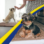 Muddy Mat® | Super Water Absorbent Door Mat Indoor, Microfiber Quick Dry - Image 5