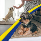 Muddy Mat® | Super Water Absorbent Door Mat Indoor, Microfiber Quick Dry - Image 5