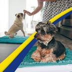 Muddy Mat® | Super Water Absorbent Door Mat Indoor, Microfiber Quick Dry - Image 5