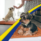 Muddy Mat® | Super Water Absorbent Door Mat Indoor, Microfiber Quick Dry - Image 4