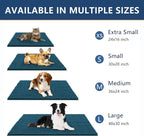 Smiry Dog Door Mat for Muddy Paws 47x17, Absorbent Dirt Trapper, Non-Slip - Image 3