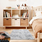 2x3 Rugs for Bedroom, Fluffy Area Rugs for Living Room, Small Fuzzy Shag Soft by Unknown