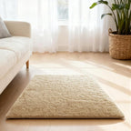 3x5 Rugs for Bedroom, Fluffy Area Rugs for Living Room, Small Fuzzy Shag Soft by Unknown