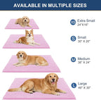 OLANLY Dog Door Mat for Muddy Paws 30x20, Ultra Absorbent Chenille Mud Doormat - Image 2