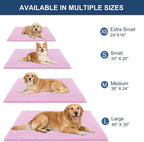 OLANLY Dog Door Mat for Muddy Paws 24x16, Ultra Absorbent Chenille Mud Doormat - Image 2