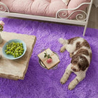 Mugorn 4x6 Rugs for Living Room, Large Fluffy Area Rugs for Bedroom, Soft - Image 8