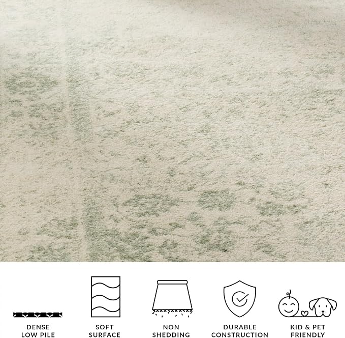 SAFAVIEH Adirondack Collection Area Rug - Image 7