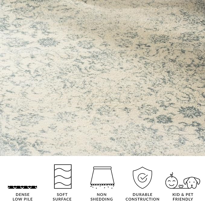 SAFAVIEH Adirondack Collection Area Rug - Image 4