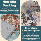 CHAMPLANT Washable Area Rug 2'x3' Door Mat Vintage Floral red Distressed - Image 4