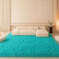Teal Blue Plush Rug 6x9, Fluffy Shag Carpet Non-Slip, Area Rug by Mtandyx