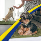 Muddy Mat® | Super Water Absorbent Door Mat Indoor, Microfiber Quick Dry - Image 5