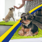 Muddy Mat® | Super Water Absorbent Door Mat Indoor, Microfiber Quick Dry - Image 5