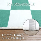 Terrug Green and White Checkered Rug - Image 7
