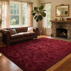 Area Rugs for Living Room, 5x7 Feet Soft Fluffy Shagg Plush Rug High Pile Large - Image 3