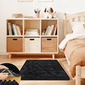 Black Rugs for Bedroom, 2x3 Fluffy Area Rugs for Living Room, Small Fuzzy Shag by Unknown